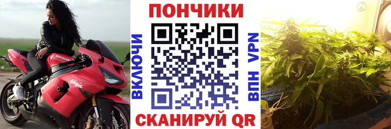 Бошки Шишки сатива Большой Камень